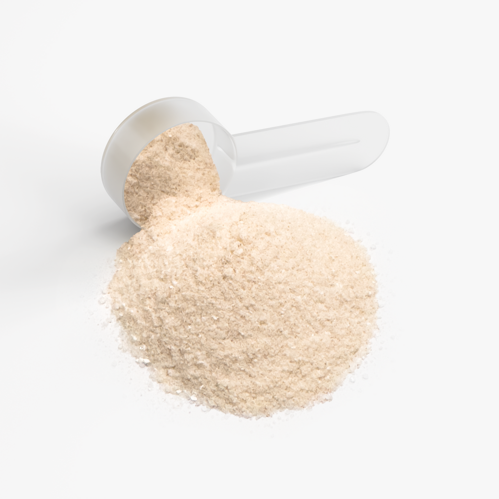 Hydration Powder Lemonade